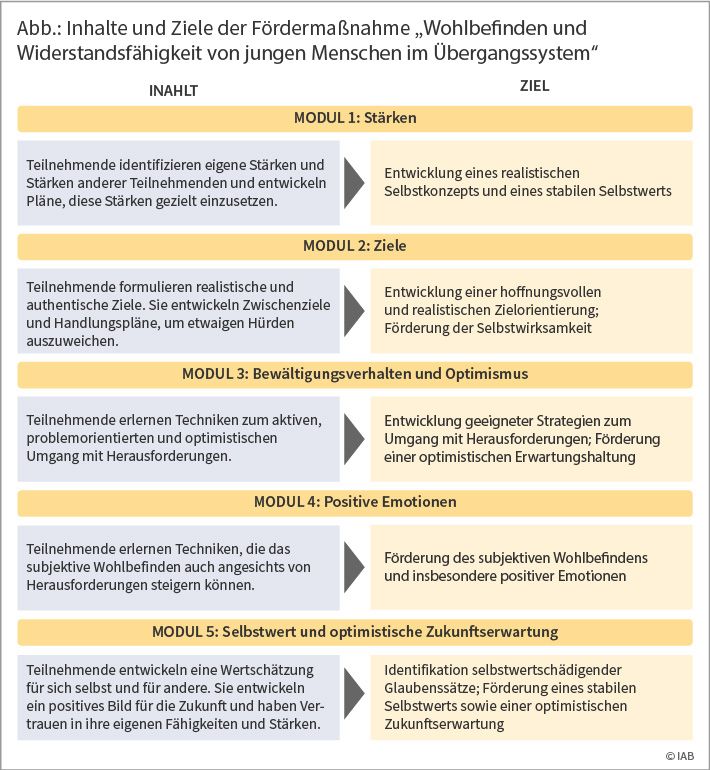 Abbildung: Inhalte und Ziele der Fördermaßnahme „Wohlbefinden und Widerstandsfähigkeit von jungen Menschen im Übergangssystem